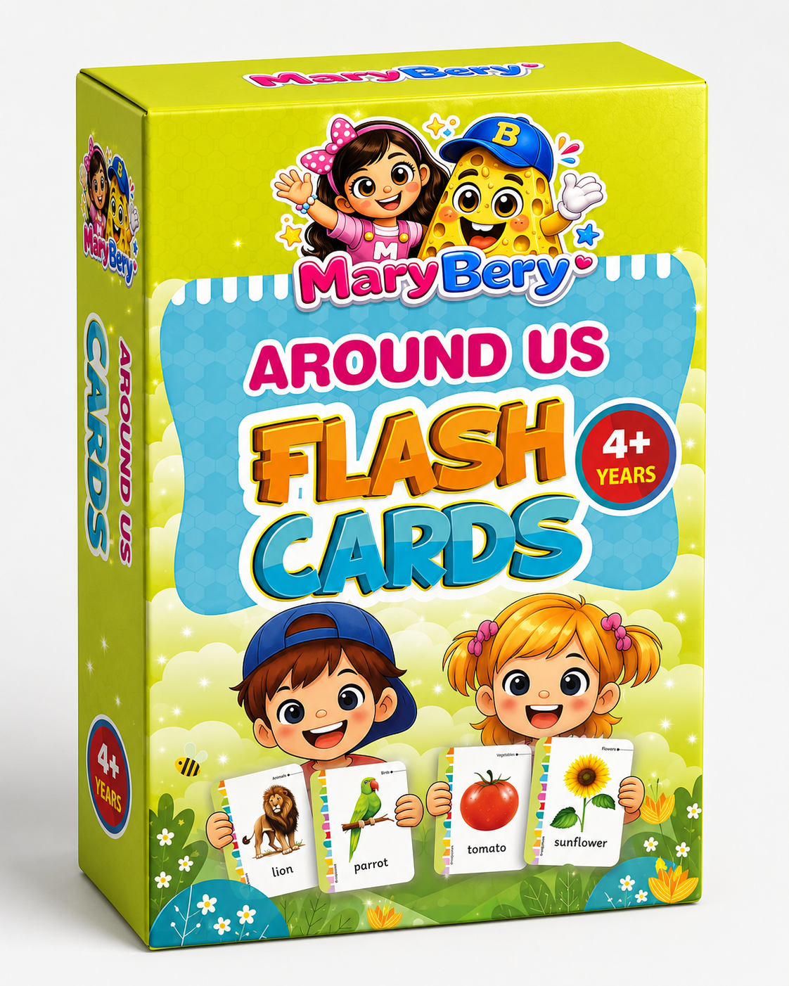 Around Us Flash Cards