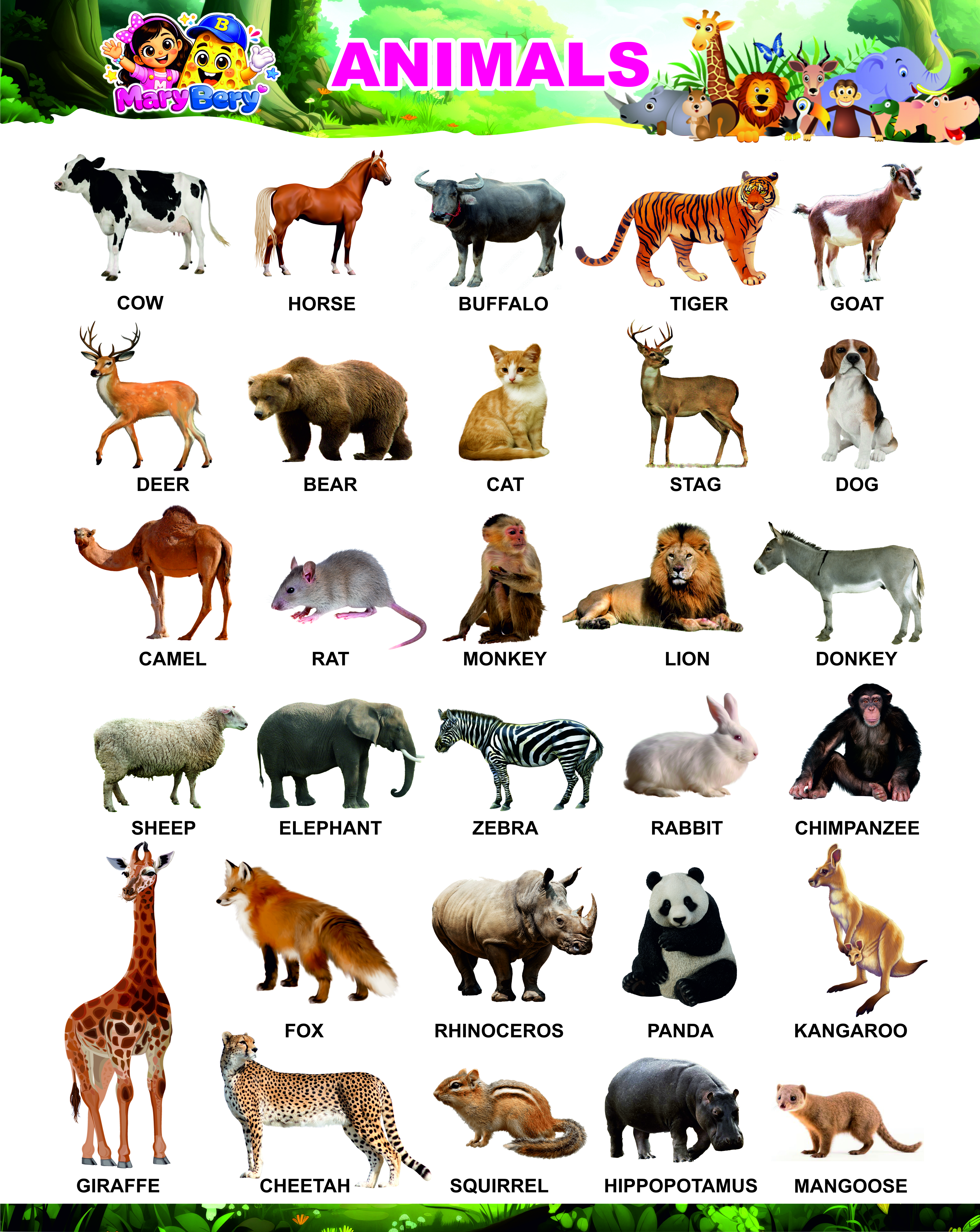 Animal Poster