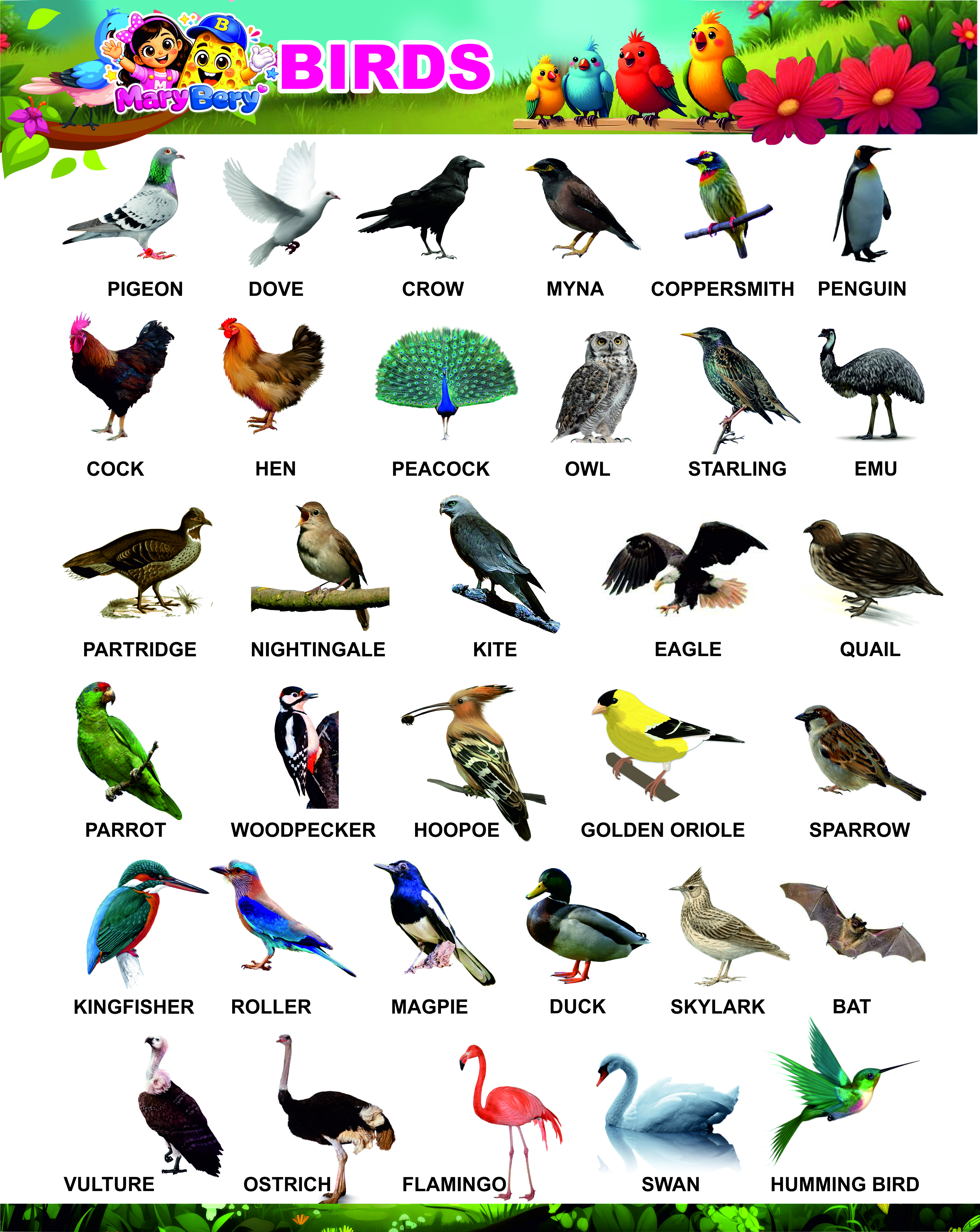 Birds Poster