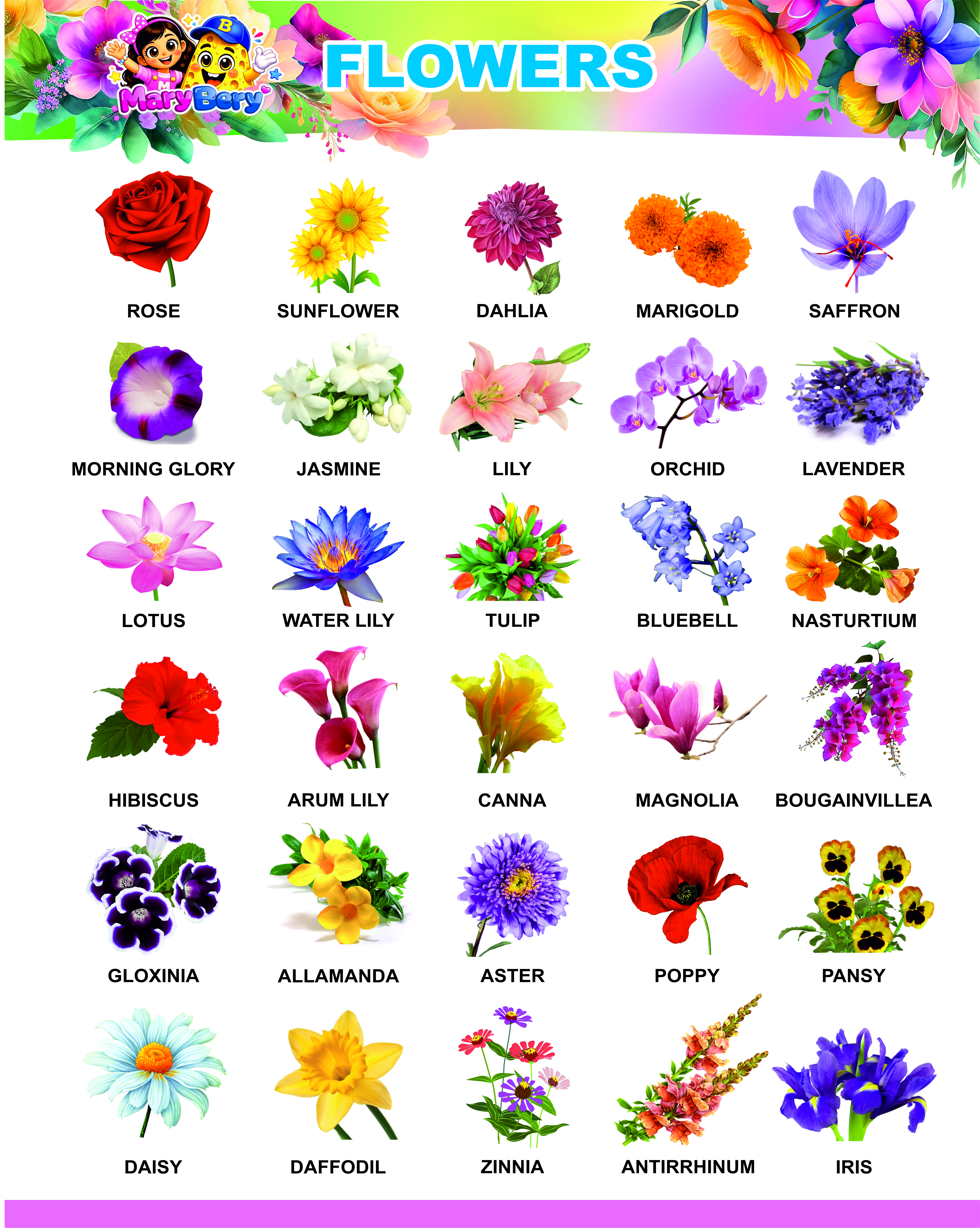 Flowers Poster